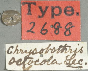 Media type: image;   Entomology 2688 Aspect: labels